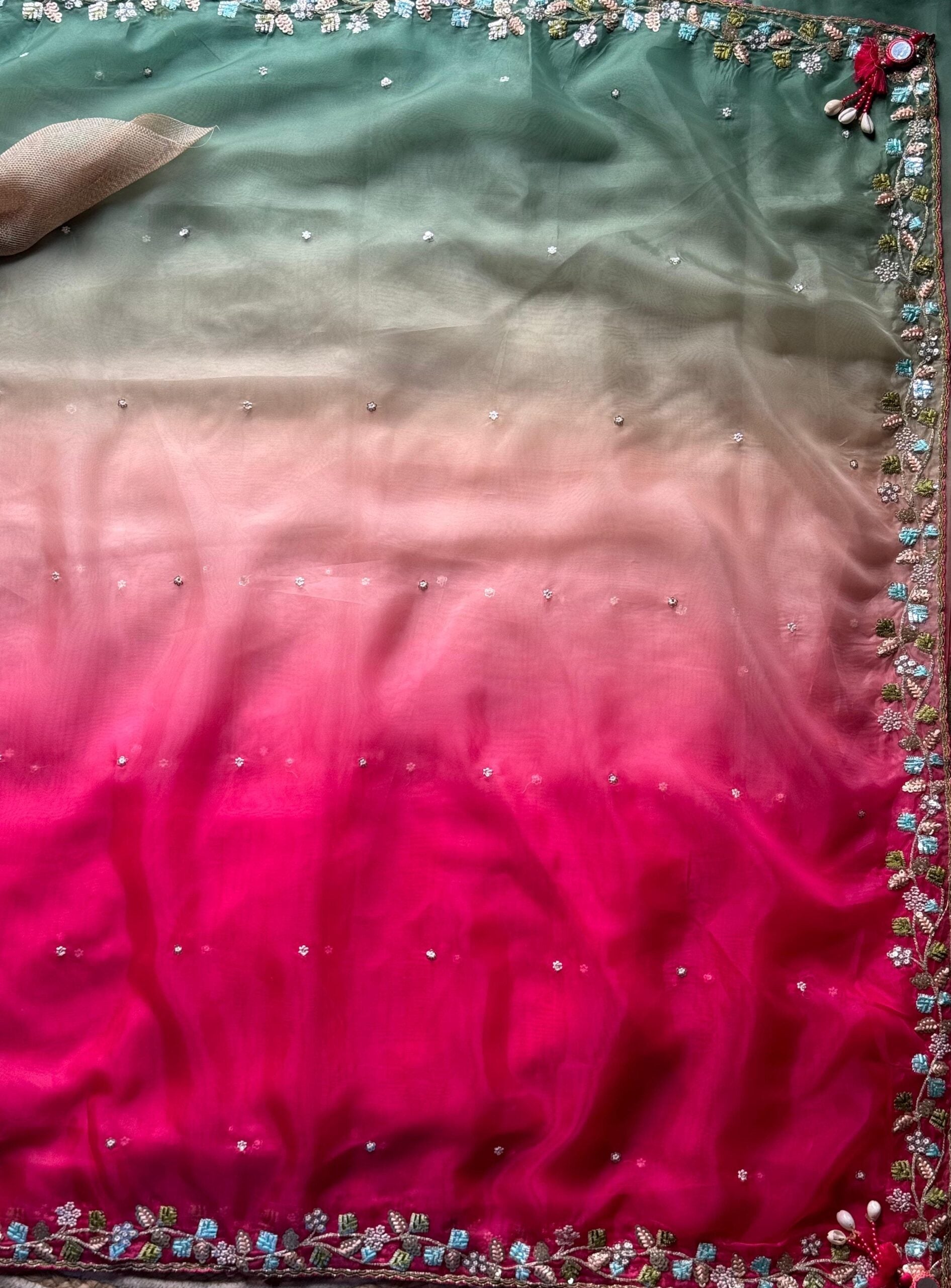 Pink & pista soft organza saree with pink hand work blouse